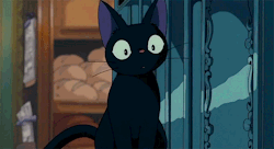 smolyashii:confused little black cat