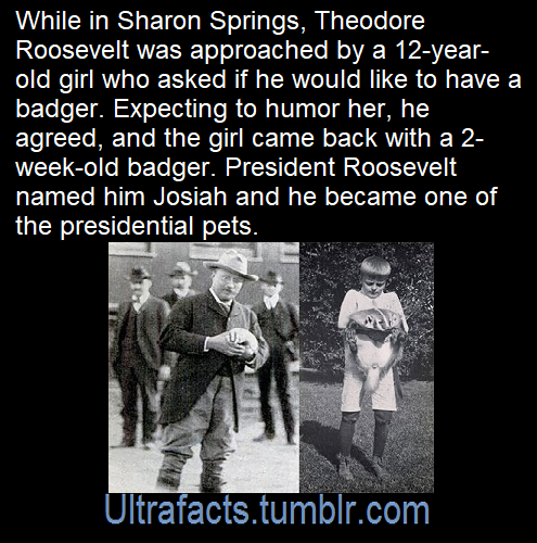 ultrafacts:  Source: [x]Click HERE for more facts