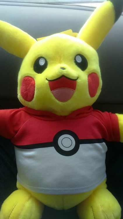 Meet Berry the Pikachu