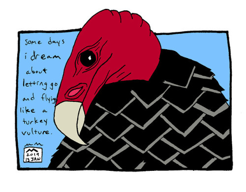 turkey vulture - flyi do love drawing turkey vultures. they’re just an ugly fun bird. check out more of my comics at mini dove comics & @retail-comics​, plus like the facebook page for all the updates. also check check out the twitter and instagram...