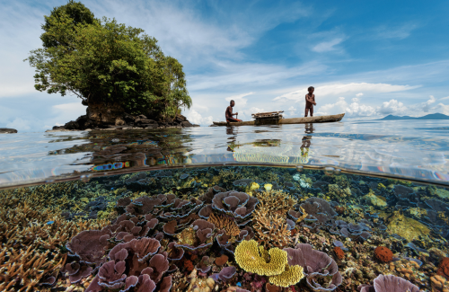 nubbsgalore:  with nearly seventy stories to his credit, david doubilet is one of national geographic’s most prolific living contributors. considered a master of water and light, his signature is the half and half image that relates the surface to