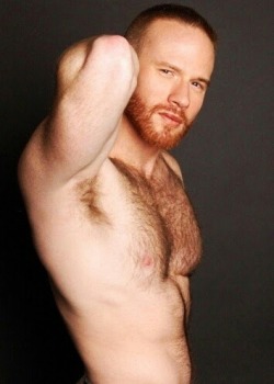 daddy-bear-hunter:  daddy-bear-hunter 