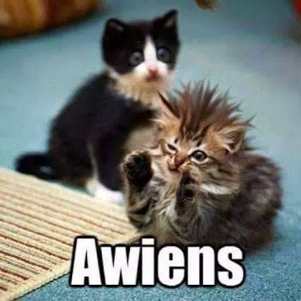 redditfront:Awiens. - via http://ift.tt/1Okw6gA&gt;W&lt;