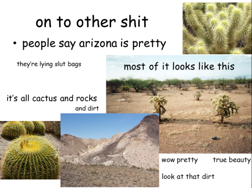 jackie-lyns: all you really need to know about arizona