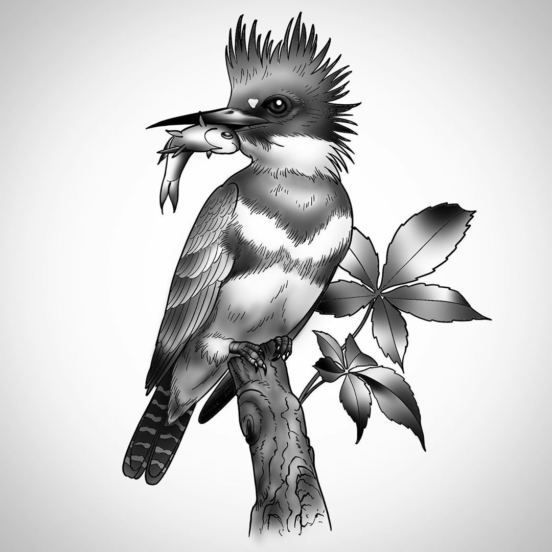 Kingfisher bird by Marek Pawlik: TattooNOW