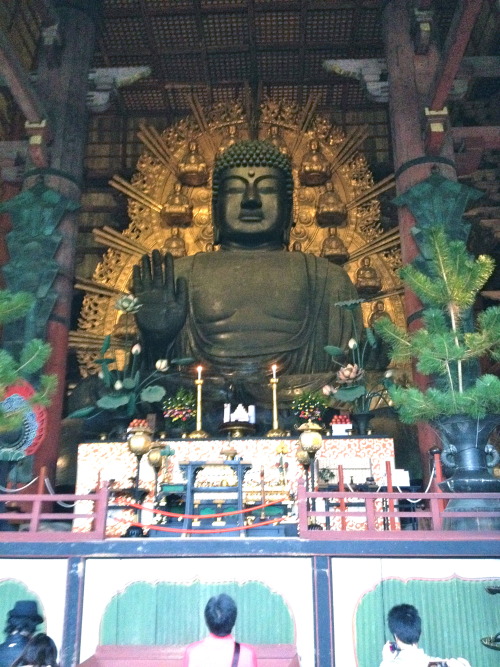Visited Nara for this first time this weekend. It was such a beautiful place. There are a huge numbe