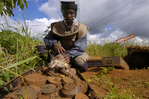 therothwoman:awkwardsituationist:someone in the world is maimed or killed by a landmine every hour. 