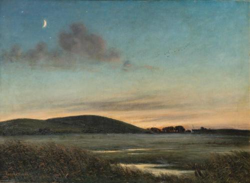 Marshes at dawn   -     Ricardo UrgellCatalan, ​​1873-1924Oil on canvas,  63 x 94 cm.
