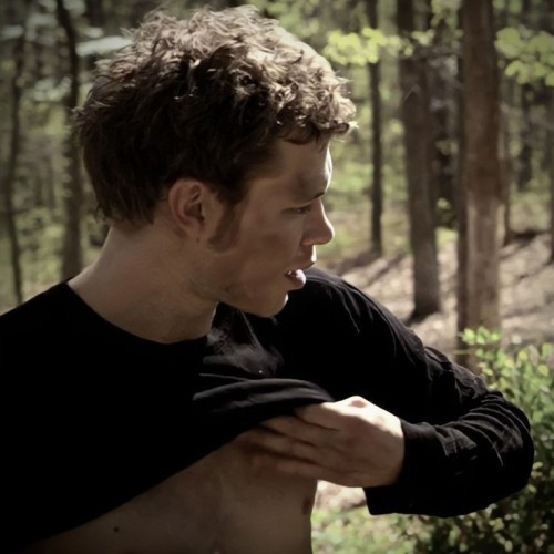 I Want To See Fanfics Of Klaus Mikaelson With Wolf Anatomy I Would Sell My Soul To See A Fanfic Like