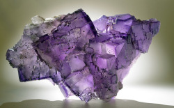 Fluorite by usageology on Flickr.Fluorite