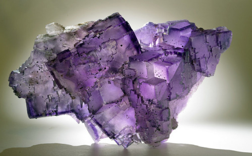 Sex Fluorite by usageology on Flickr.Fluorite pictures