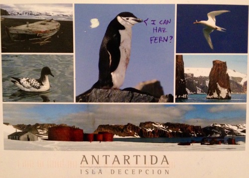 Antartida, Isla Decepcion | received from Port Lockroy, British Antarctic territory, December 2014
