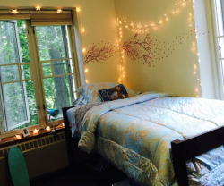 fyeahcooldormrooms:  Cornell University, Risley Hall