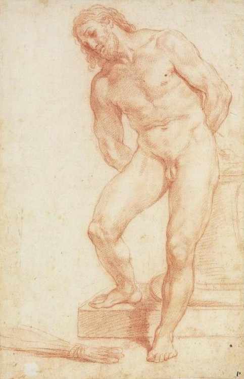 Michelangelo Ricciolini (1654-1715) - Christ, red chalk, 41,9 x 26,9 cm.