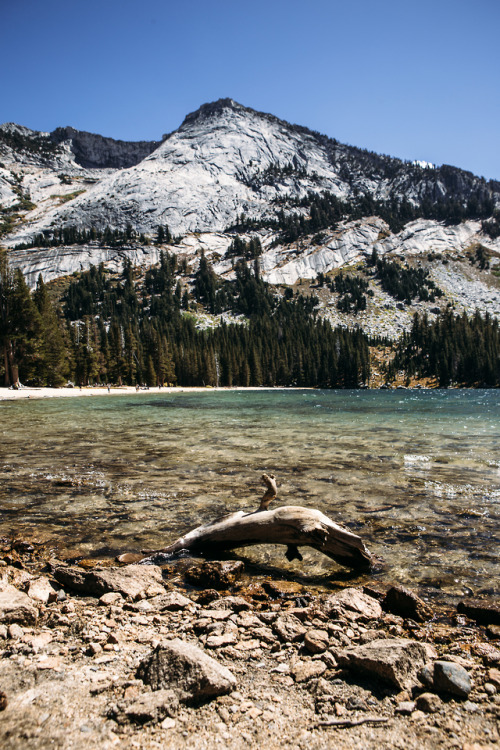 christophermfowler - Tioga Lake | Yosemite, CA | September 2018