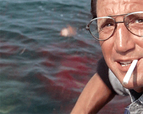 filmgifs:  JAWS (1975) dir. Steven Spielberg