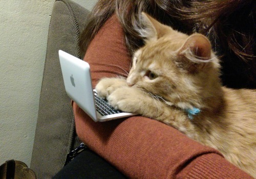 funny-gif-1:  Other Funny Gİfs http://funny-gif-1.tumblr.com/