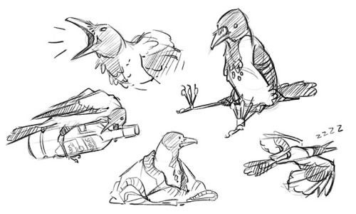 Just some doodles. I enjoy character-as-animal sketch sessions, it makes it easier to think of poses