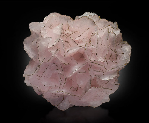 hematitehearts: Mangano Calcite Petals with Pyrite Size:19.5 cm x 21.6 cm x 10.2 cm Locality: Manaos