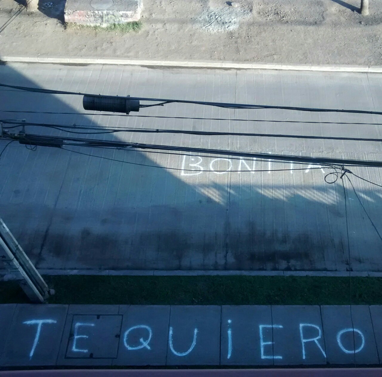 delterror:  Cuando salí a fumar al balcón, pillé esto. Mi vecina está matando.