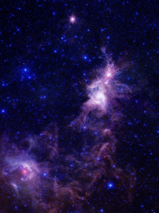 bestof-society6:    ART PRINTS BY 2SWEET4WORDS DESIGNS    galaxy   Floral Nebula 