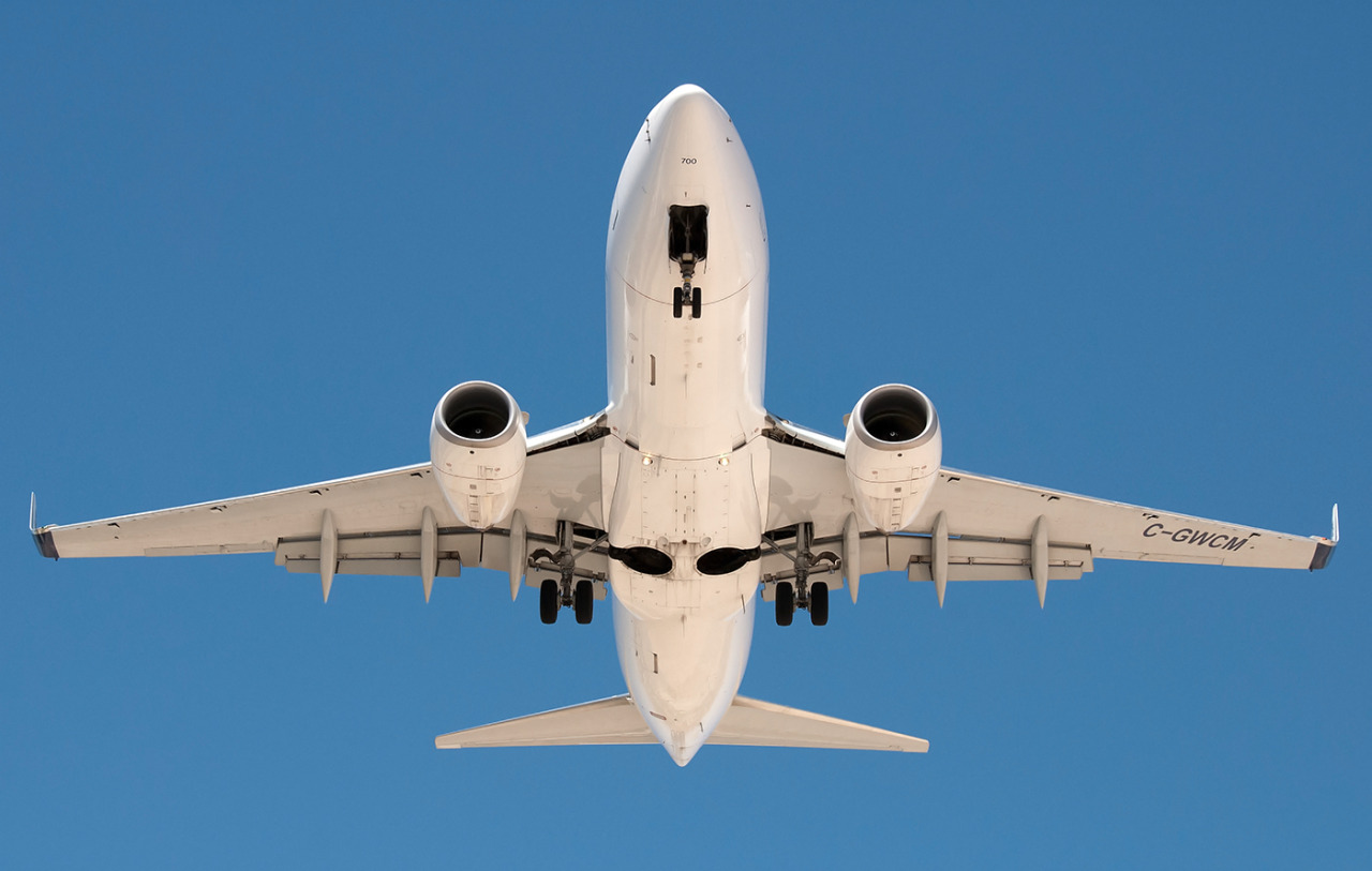 Overhead Photo (Westjet 737-700) - by Eagle1 . Urge to give bellyrubs&hellip;rising