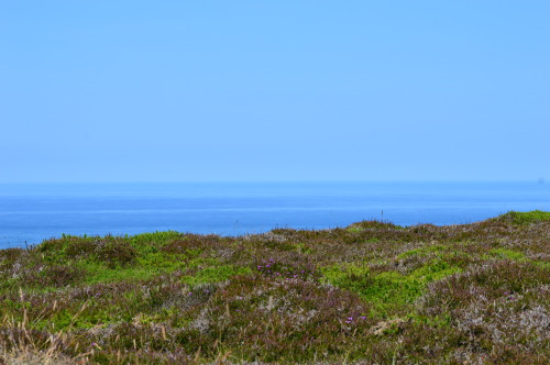 llŷn peninsula