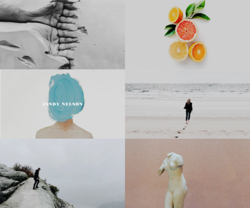 clarkegrifin:  FAVORITE BOOKS  ★  i’ll give you the sun, jandy nelson this is w