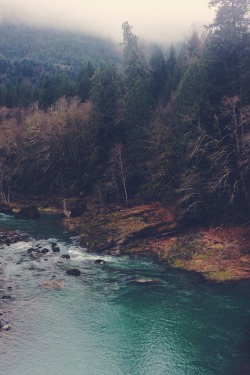 earvth:  nature/surf blog 