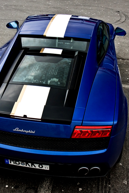 se7ensinz:  Lamborghini Gallardo 