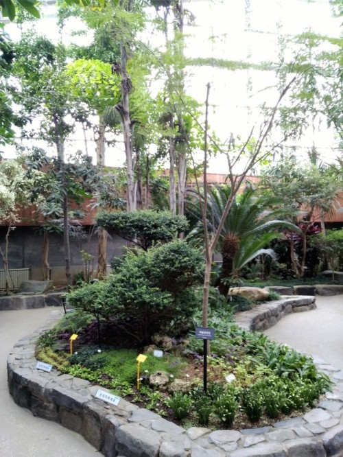 nabi-day: 부천시립식물원 | Bucheon Botanical Gardens제가 제일 좋아하는 곳은? 당연히 꽃이 많은 곳이죠. 제 친구도 이걸 알고 있어서 제가 방문하러