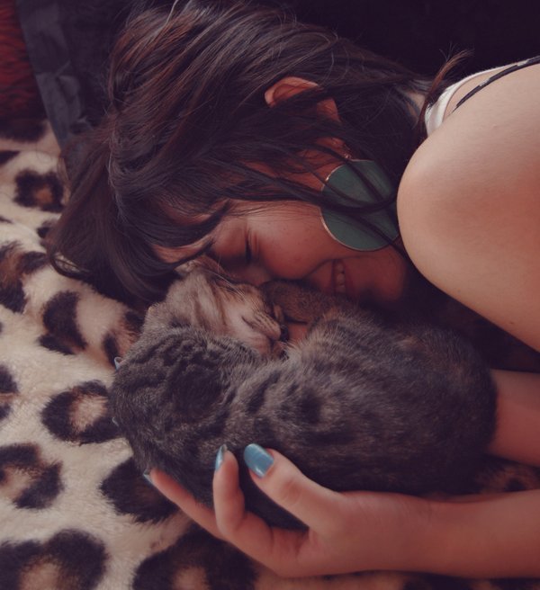“Nite, nite,” she whispered, setting off a chorus of purrs in reply&hellip;