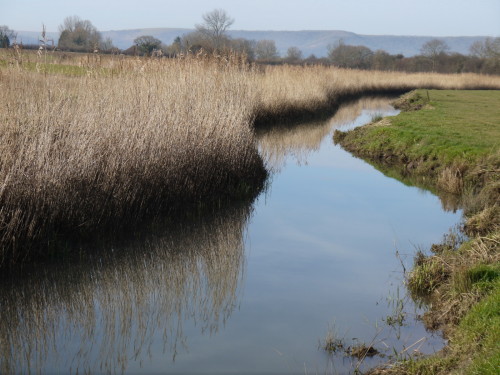 ohnesans:Sussex stream