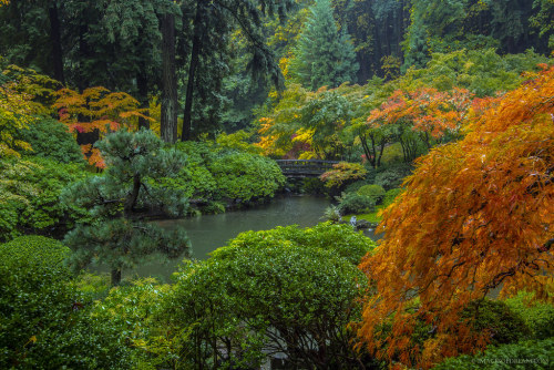 drxgonfly: Japanese Garden, Portland, Oregon (by imagesofdream)