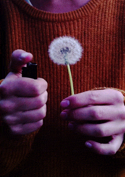 pre-party:  ♛
