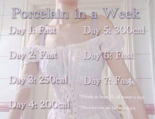 tiny-quaint-delicate:  I made a photo of the diet I’m doing! It’s roughly adapted from the Pretty Porcelain Body diet by @i-suck-agust-d. I’ll let you guys know how much I lose! Let me know if you’re trying it too. (But actually PLEASE don’t