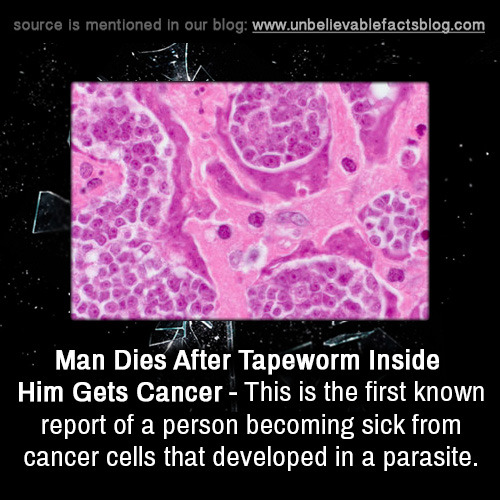 unbelievable-facts:    Man Dies After Tapeworm Inside Him Gets Cancer - This is the