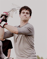 james-romanoff: stiles → light vs dark