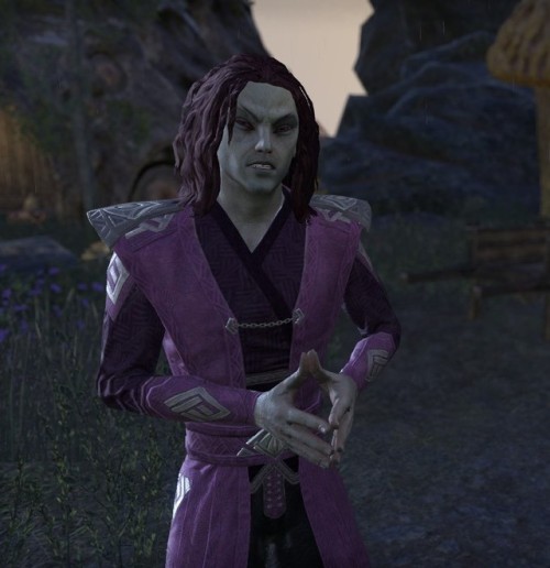 frostfallarcher:ESO Elves I LOVEPart Three “I’m a natural disaster masquerading as a person.” Revus 