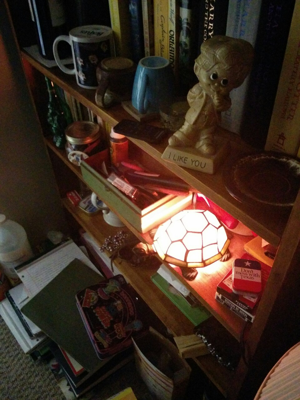 did I ever show you guys my book shelf full of things and my lamp which is shaped like a turtle