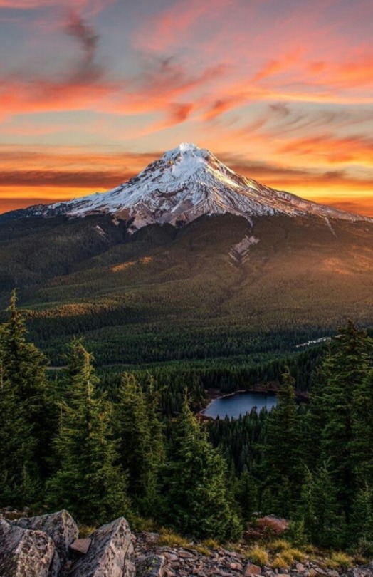 landscape-lunacy:  Mount Hood, Oregon - by Jesse Brackenbury 