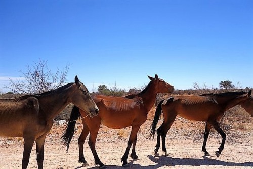 Namibia 2023/24 - Tag 10