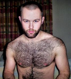 yummy1947: angel-amable: Reconoce que se equivocó eligiendo unas cortinas tan opacas… apenas hay luz en su comedor.  Such a hairy and handsome bear cub. He’s grown fabulous shoulder hair that merges with his awesome hairy chest and furrry tummy that