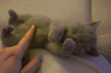 the-personal-quotes:  feeling sad? you need this blog on your dash!