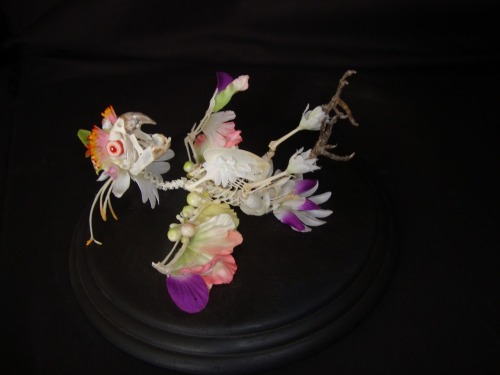 deermary:  Cedric Laquieze’s art pieces using flowers on articulated skeletons 