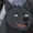 windwolf0097:  I want a horror game that’s not dark, or foggy, or covered in guts