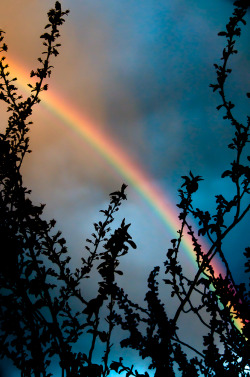 visionitaliane:  Rainbow in Bellingham, WA, USA by Visioni Italiane If you enjoy it, please consider supporting my work, buy a print at Visioni Italiane use TUMBLRLOVE4VI for 25% off 