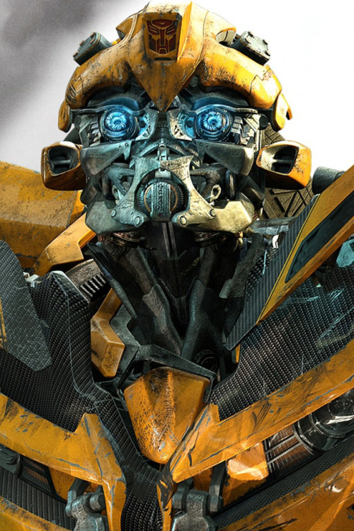 evolutionxry:  I just love Bumblebee. 