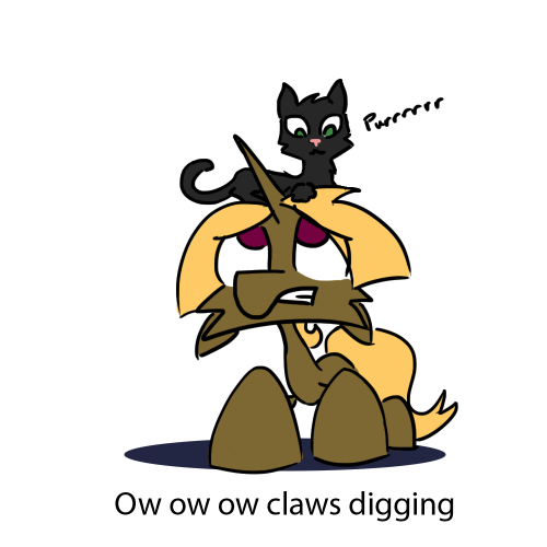 askbutdonthug:  [58 questions remain] I shall name him Scruffy, and he shall be mine.  X3 D'aww~! >w<