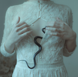 partydrugs:  Laura Makabresku